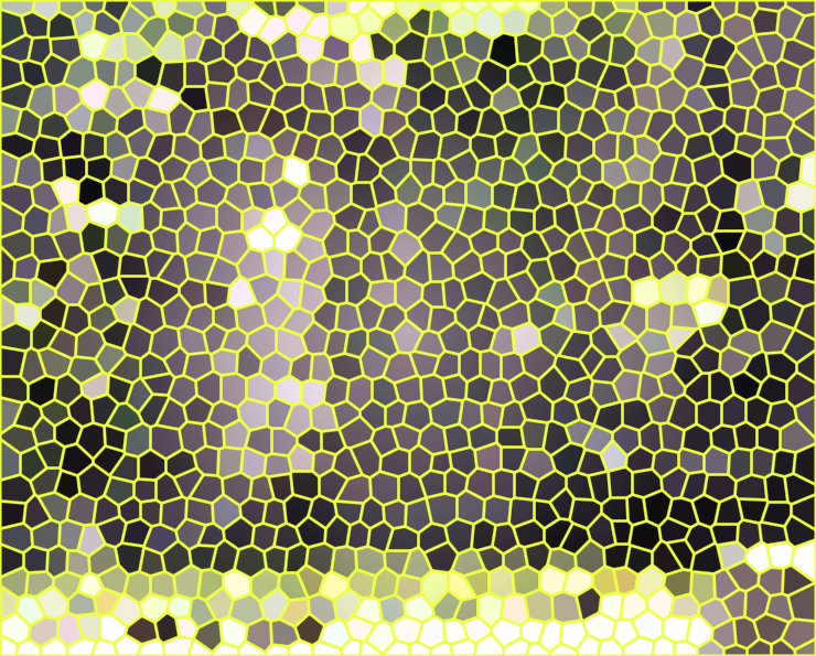 1577516867410423.png image.png