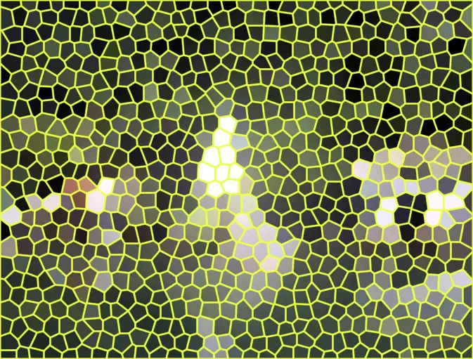 image.webp