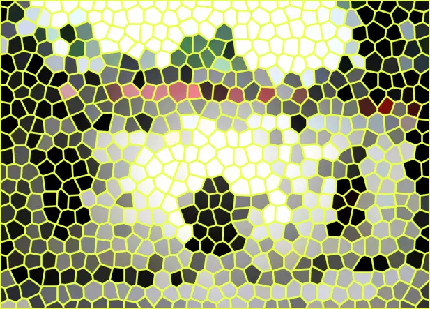 image.webp