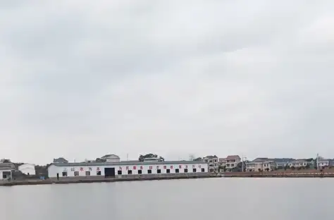 image.webp