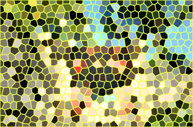 image.webp