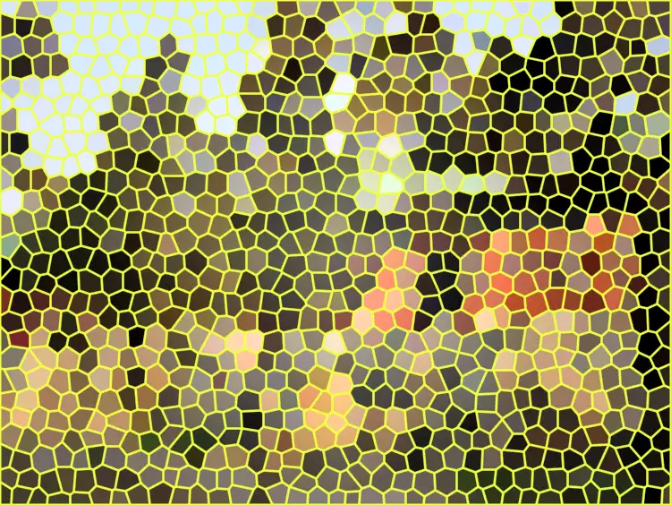 image.webp
