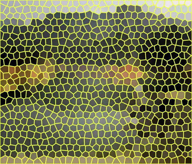 image.webp