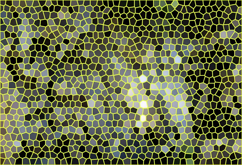 image.webp