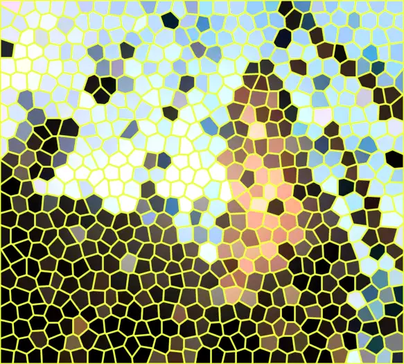 image.webp