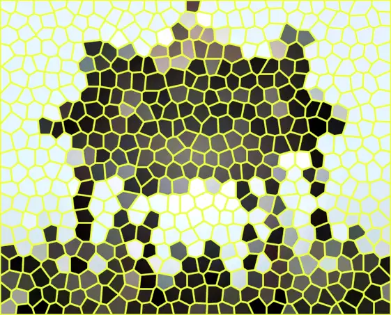 image.webp