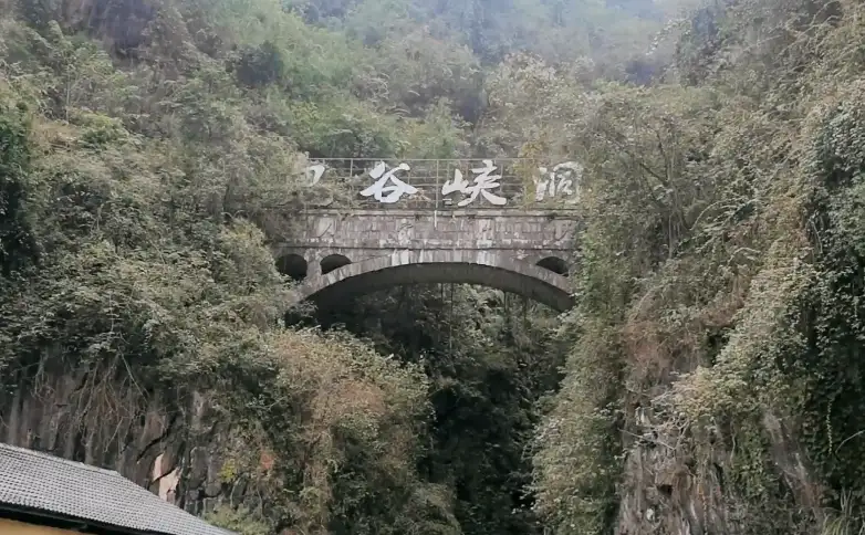 image.webp