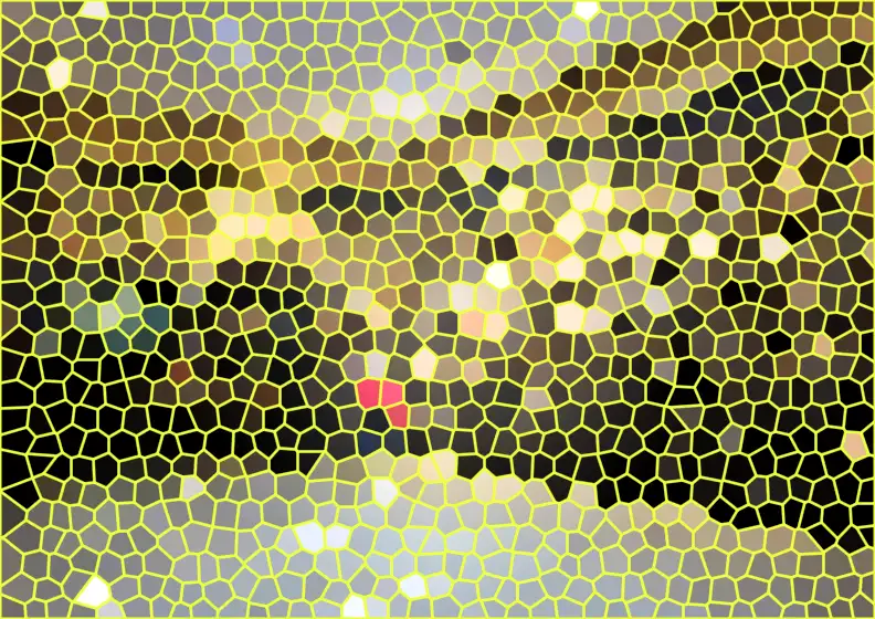 image.webp