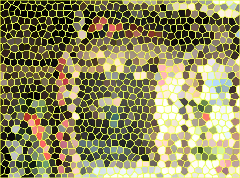 image.webp