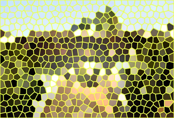 image.webp