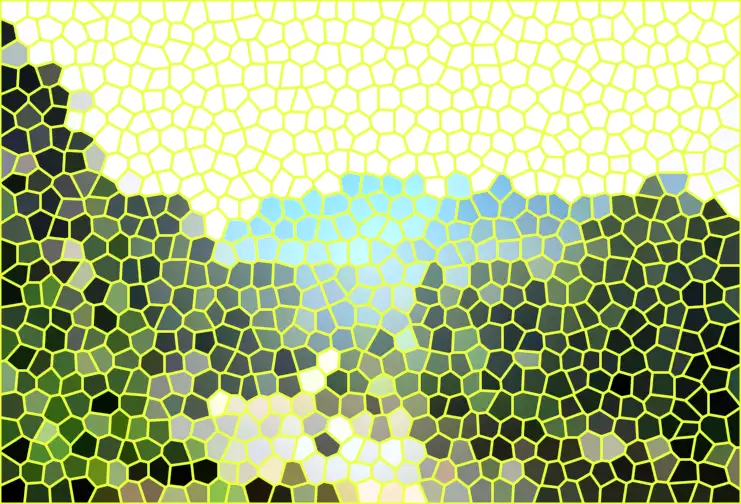 image.webp