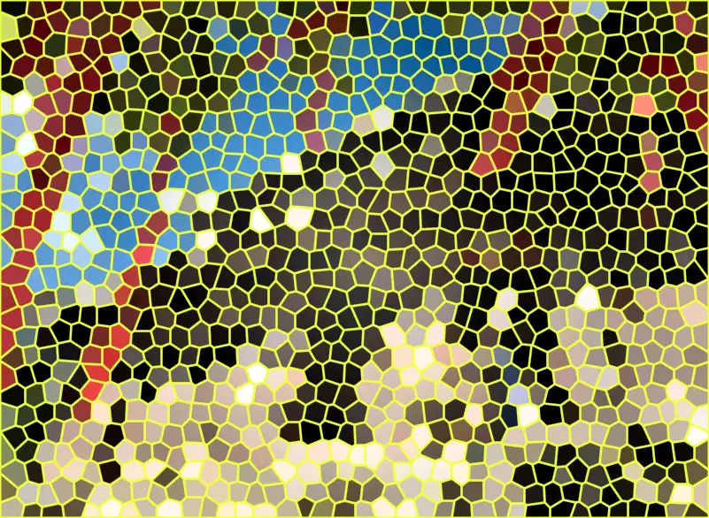 image.webp