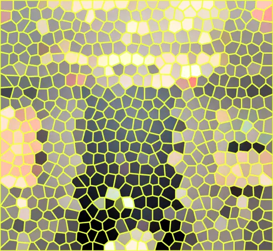image.webp