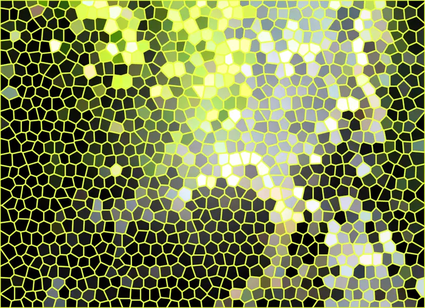 image.webp