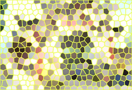 image.webp