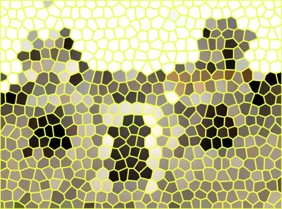 image.webp