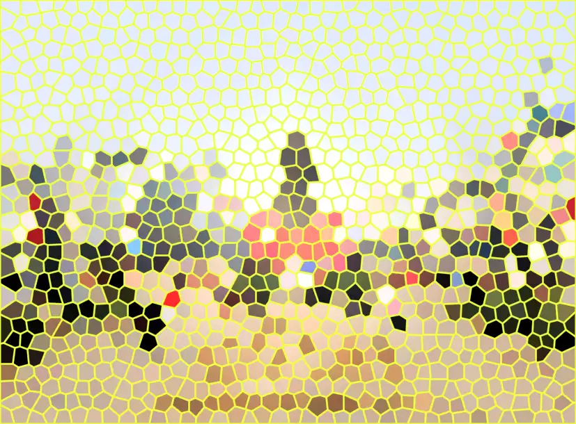 image.webp