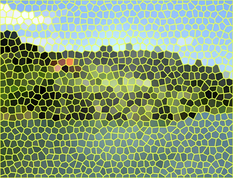 image.webp
