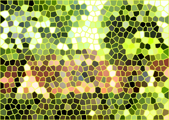 image.webp