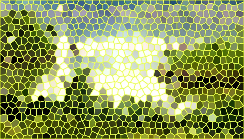image.webp
