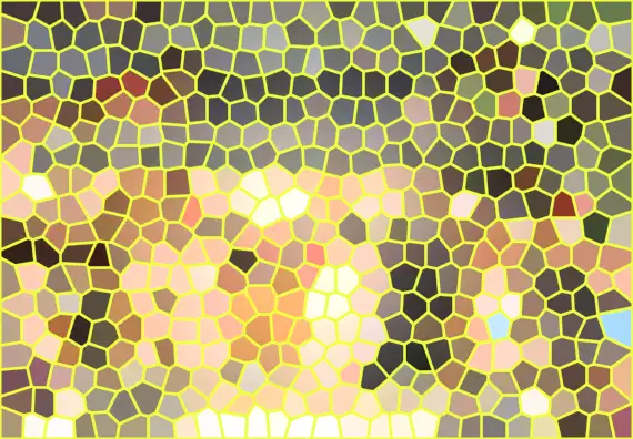 image.webp
