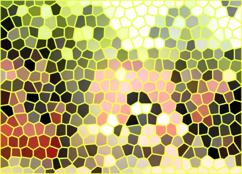 image.webp