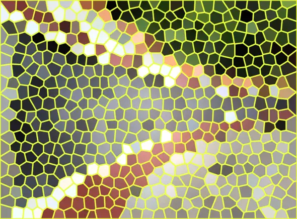 image.webp