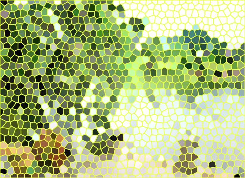 image.webp