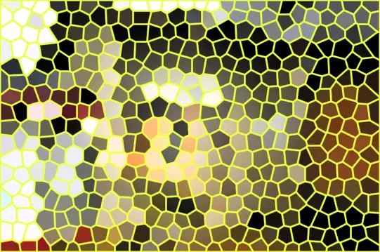 image.webp