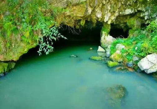 image.webp