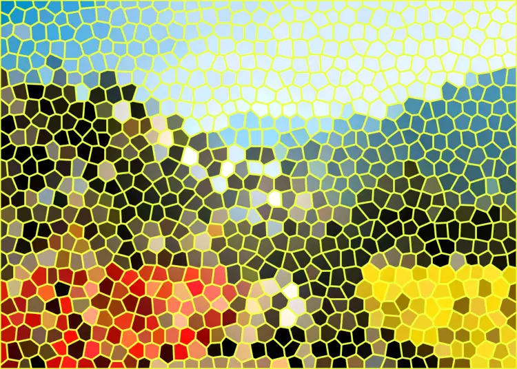 image.webp