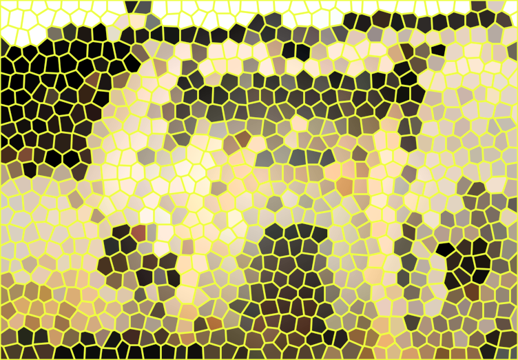 1584942461867667.png image.png
