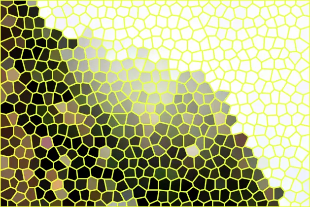 image.webp