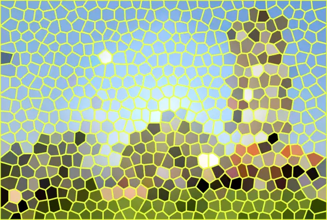 image.webp