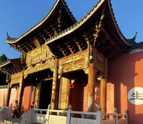image.webp