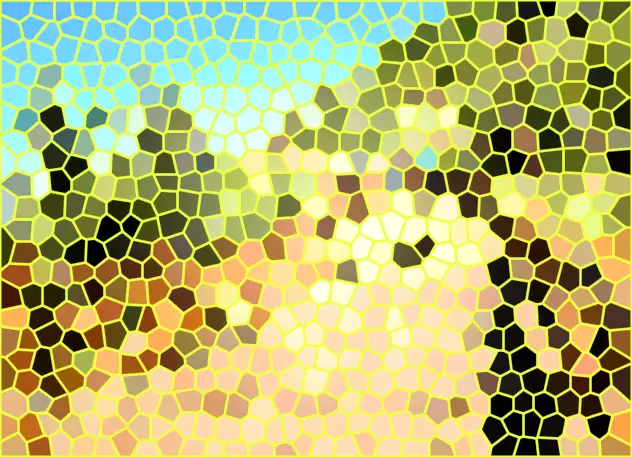 image.webp