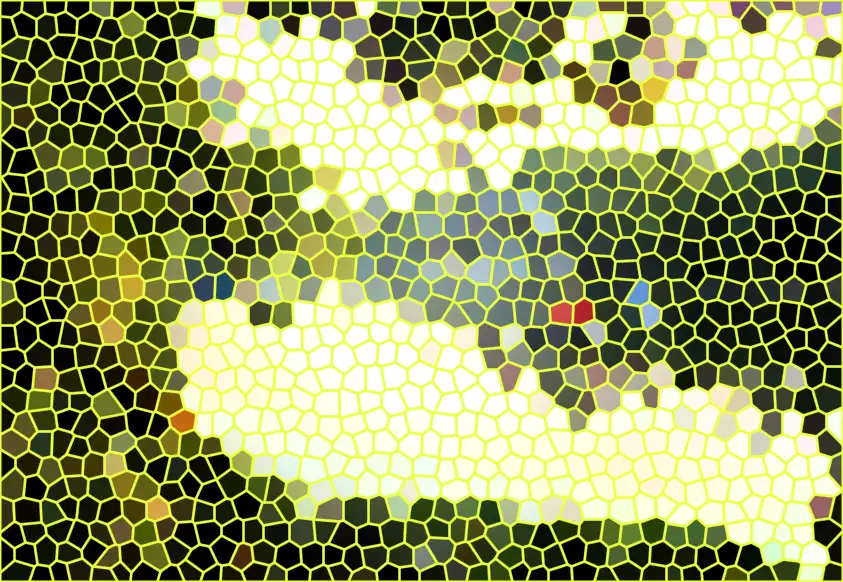 image.webp