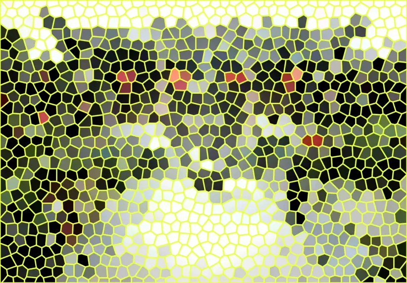 image.webp