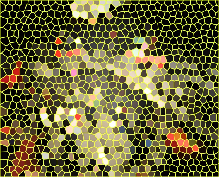 image.webp