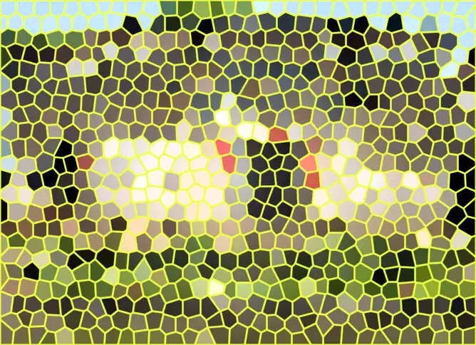 image.webp