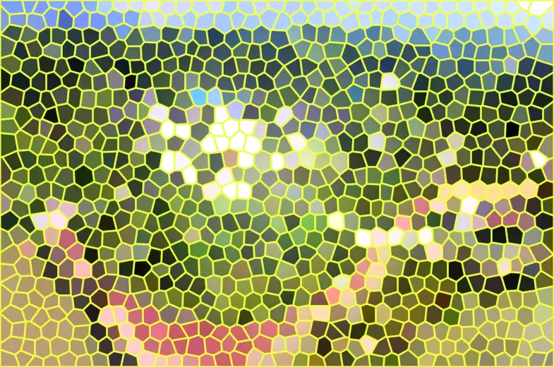 image.webp
