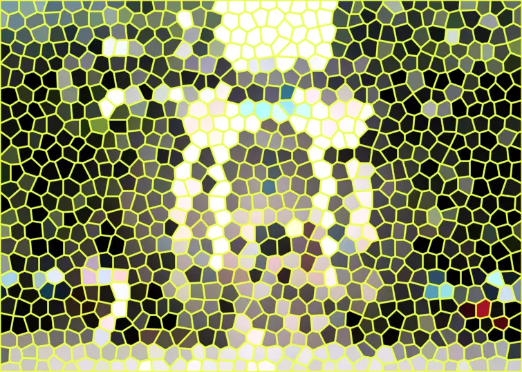 image.webp