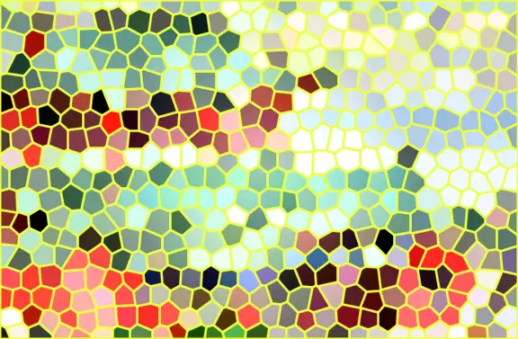 image.webp