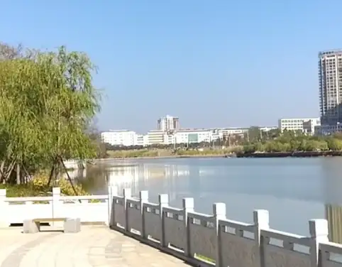image.webp
