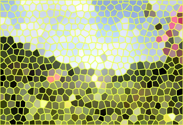 image.webp