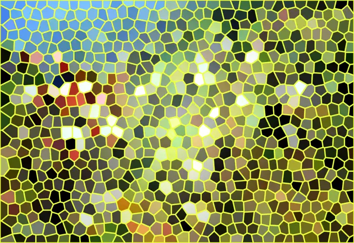 image.webp