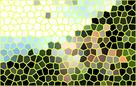 image.webp