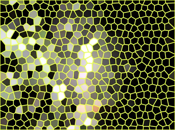 image.webp