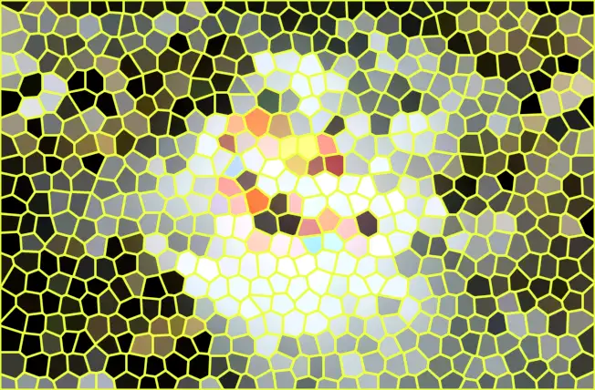 image.webp