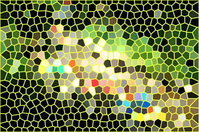 image.webp